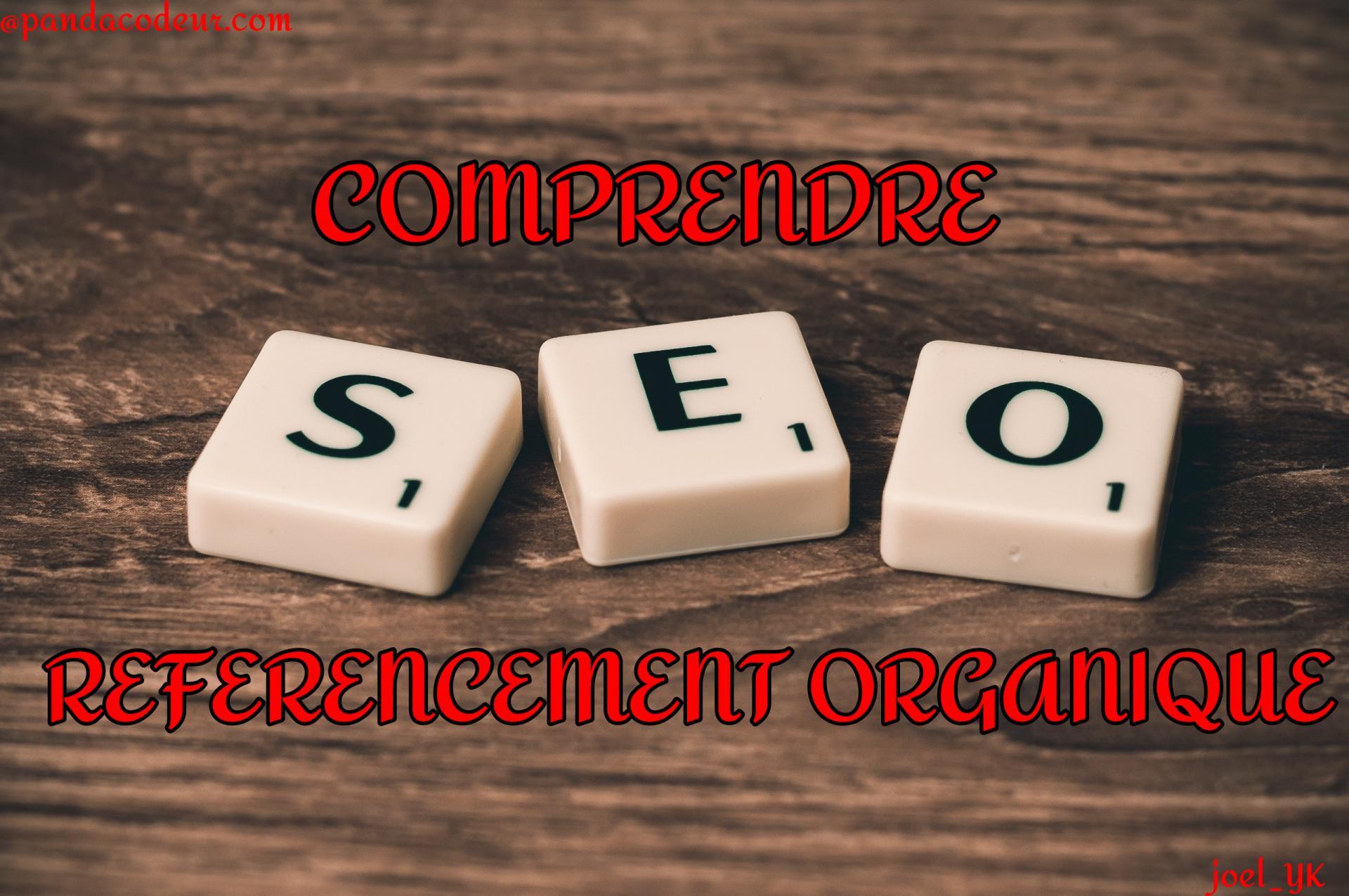 Pandacodeur seo referencement organique 2