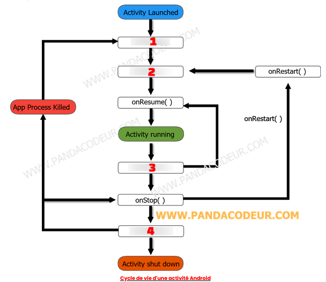 Android cours 06 pandacodeur