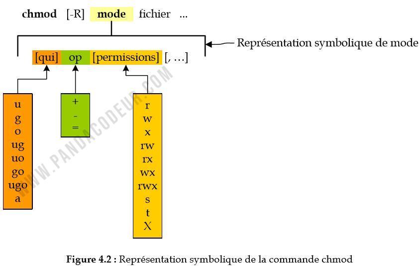 Chmod representation pandacodeur