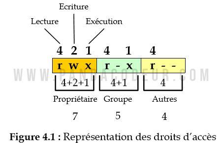 Droit access pandacodeur