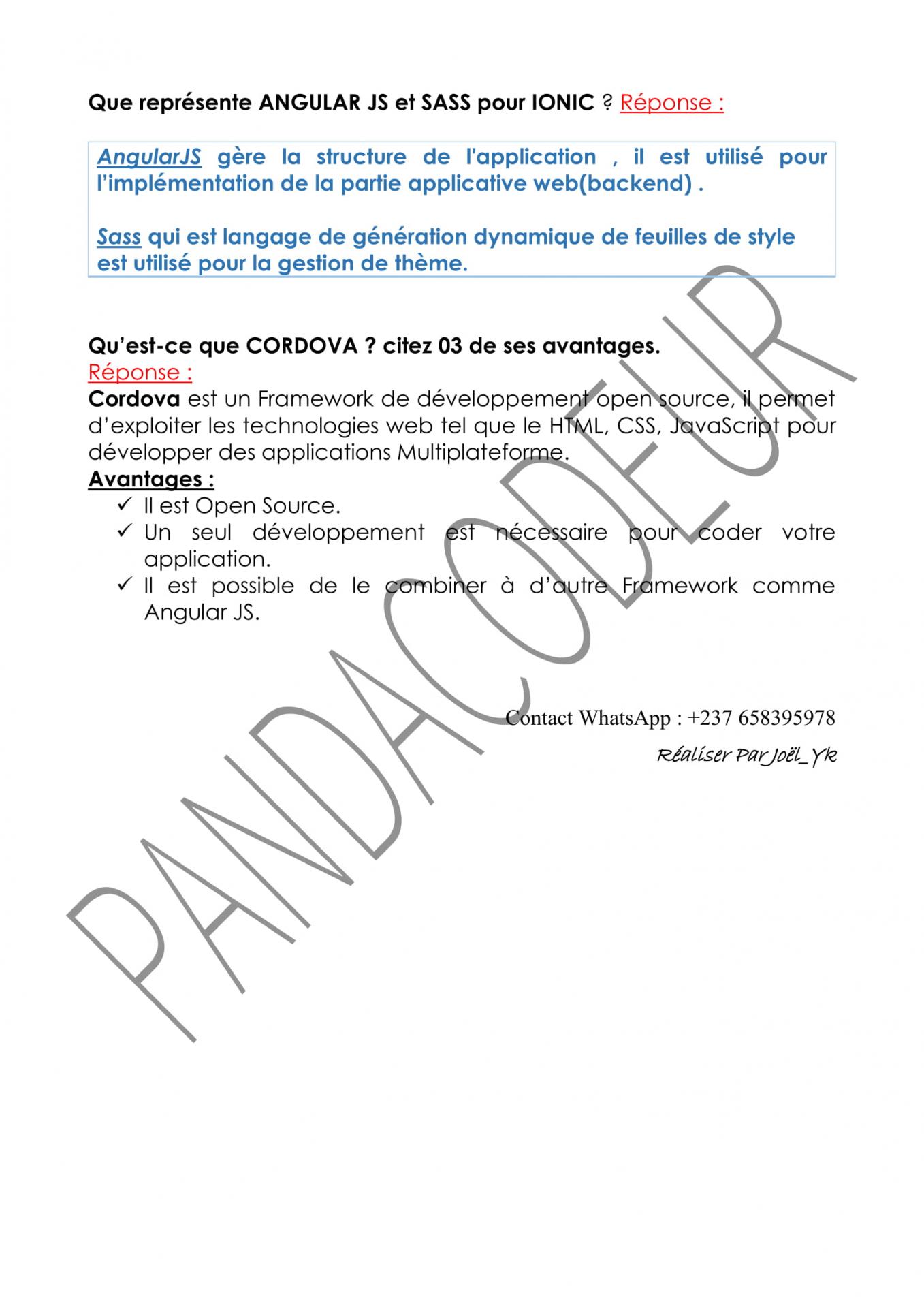 Examen 01 pandacodeur prg mob 6