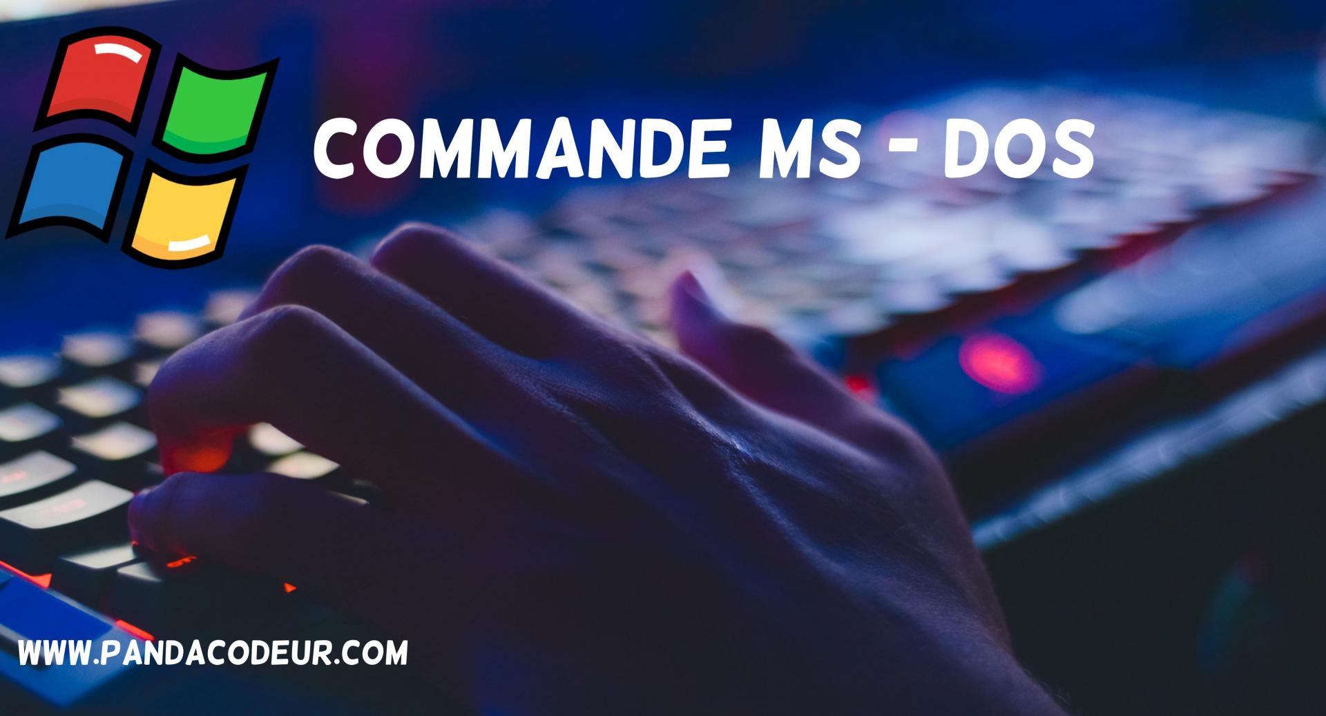 Ms dos pandacodeur 3