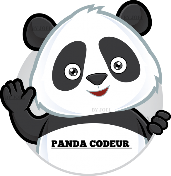 Panda codeur