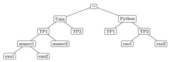 Pandacodeur arborescence tp linux