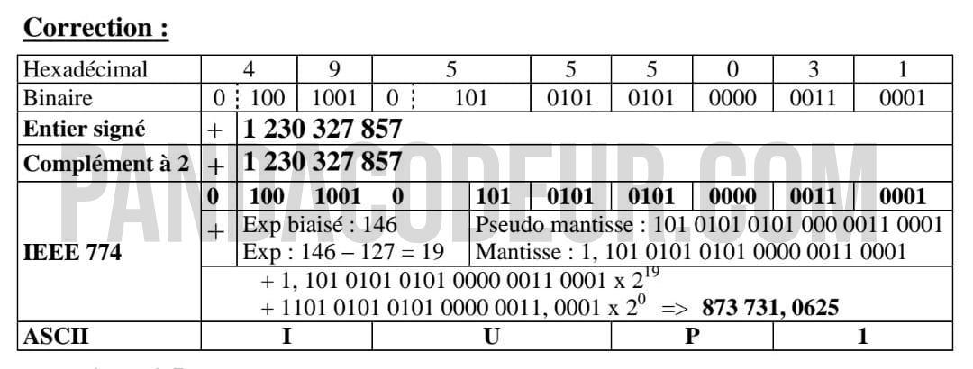 Pandacodeur conversion binaire