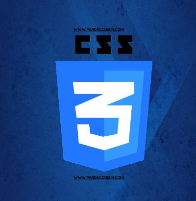 Pandacodeur css tutorial