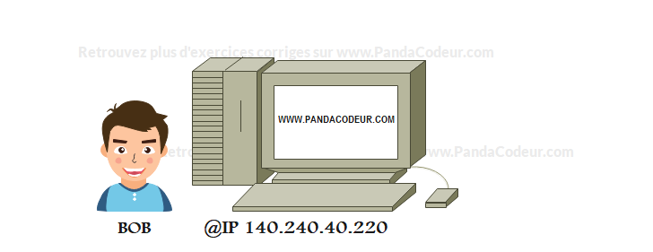 Reseau pandacodeur 01