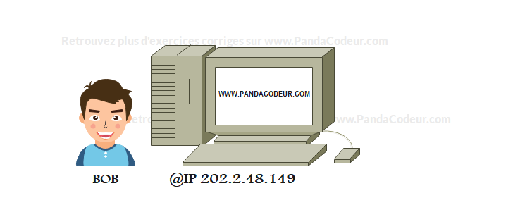 Reseau pandacodeur 08